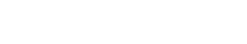 Vanelli Logo